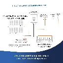 neon52.webp